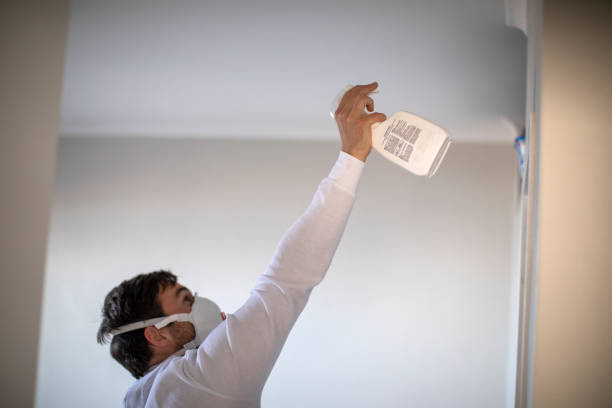Best Crawl Space Mold Removal  in Frankfort, IN